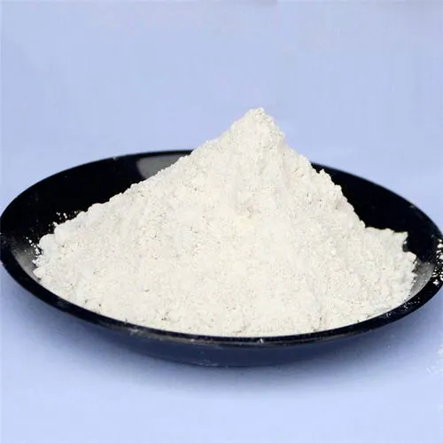 High specific surface area powder